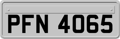 PFN4065