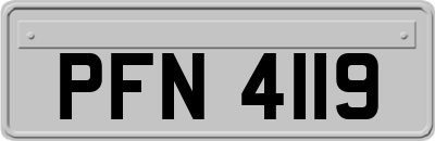 PFN4119