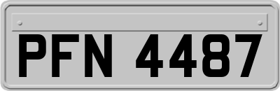 PFN4487