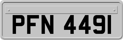 PFN4491