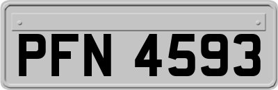 PFN4593