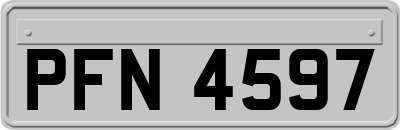 PFN4597