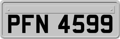 PFN4599
