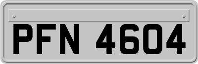 PFN4604