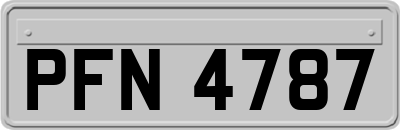 PFN4787