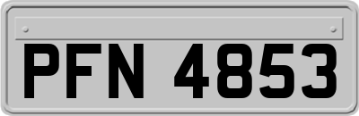 PFN4853