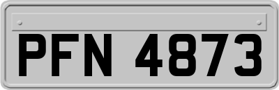 PFN4873