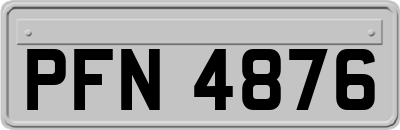 PFN4876