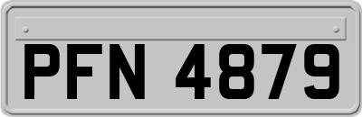 PFN4879