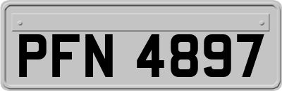 PFN4897