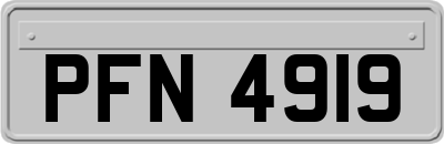 PFN4919