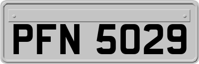 PFN5029