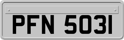 PFN5031