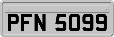 PFN5099