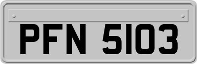 PFN5103
