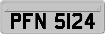 PFN5124