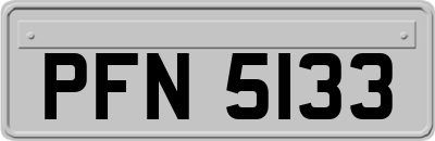 PFN5133