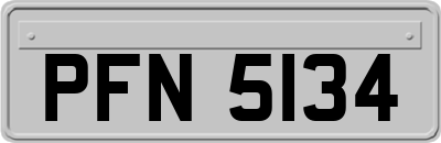 PFN5134