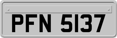 PFN5137