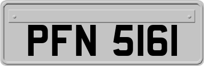 PFN5161