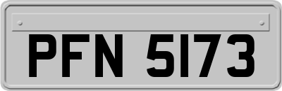 PFN5173
