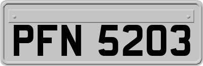 PFN5203