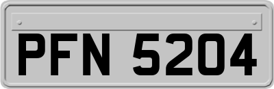 PFN5204