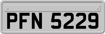 PFN5229