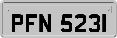 PFN5231