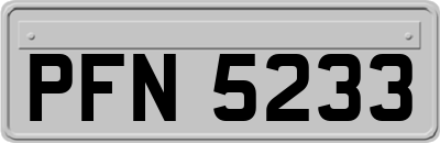 PFN5233