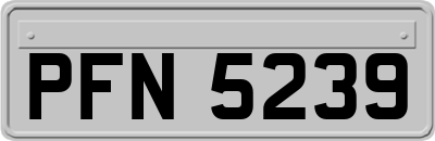 PFN5239