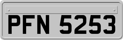 PFN5253