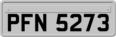 PFN5273