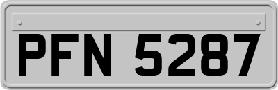 PFN5287