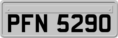 PFN5290