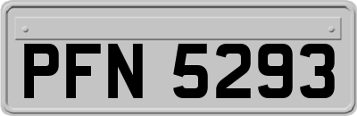 PFN5293
