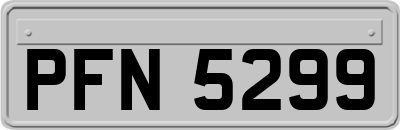 PFN5299