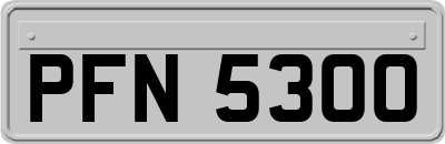 PFN5300