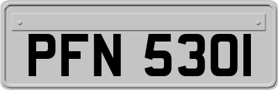 PFN5301