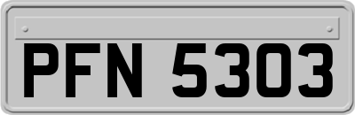 PFN5303