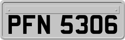 PFN5306