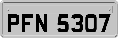 PFN5307