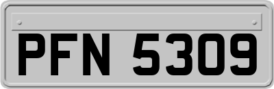 PFN5309