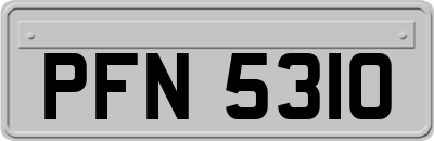 PFN5310