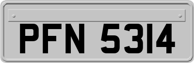 PFN5314