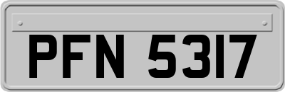 PFN5317