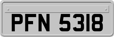 PFN5318