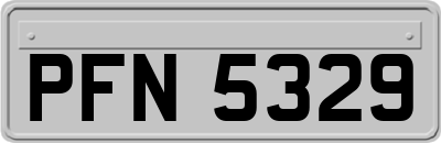 PFN5329