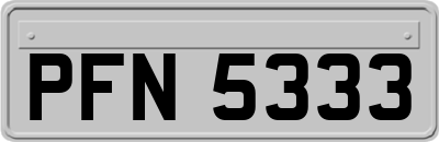 PFN5333
