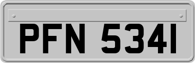 PFN5341